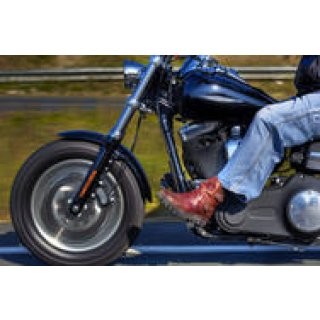 Harley Davidson Cruising preview image