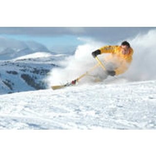 Snowbike Workshop preview image