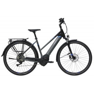Pegasus Premio EVO 10 134 Ah Damen Trapez grau 2019 45cm preview image
