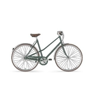 Gazelle Van Stael Damen grün 2019 59cm preview image