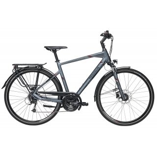 Pegasus Opero SL 24 Herren grau 2019 48cm preview image
