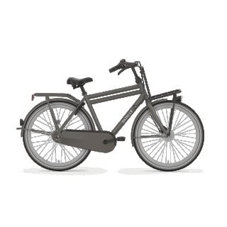 Gazelle Puur_NL 7 Herren braun 2020 54cm preview image