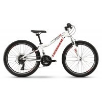 Haibike Seet HardFour Life 1.0 2020 preview image
