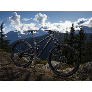 Trek Fuel EX 8 29 2019 preview image