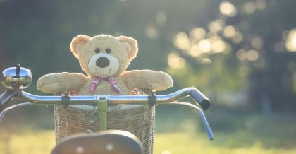 Bär im Fahrradkorb
